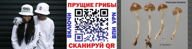 Галлюциногенные грибы GOLDEN TEACHER  Купить  Ртищево 